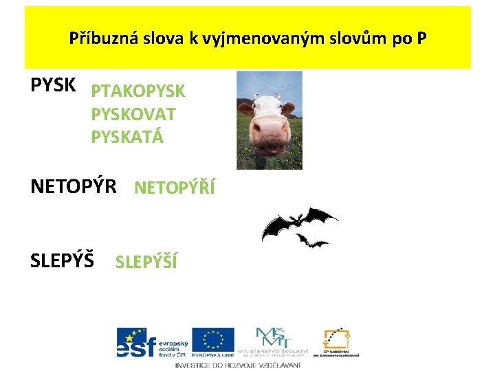 Příbuzná slova k vyjmenovaným slovům po P PYSK PTAKOPYSKOVAT PYSKATÁ NETOPÝR NETOPÝŘÍ SLEPÝŠÍ Příbuzná slova k vyjmenovaným slovům po P PYSK PTAKOPYSKOVAT PYSKATÁ NETOPÝR NETOPÝŘÍ SLEPÝŠÍ