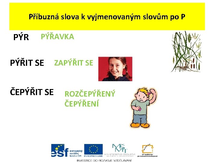Příbuzná slova k vyjmenovaným slovům po P PÝR PÝŘAVKA PÝŘIT SE ČEPÝŘIT SE ZAPÝŘIT Příbuzná slova k vyjmenovaným slovům po P PÝR PÝŘAVKA PÝŘIT SE ČEPÝŘIT SE ZAPÝŘIT