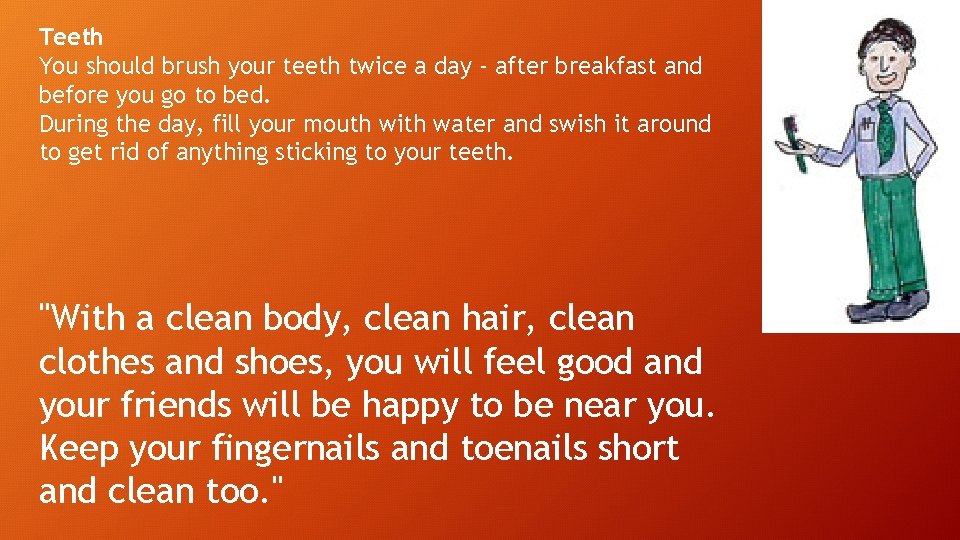 Teeth You should brush your teeth twice a day - after breakfast and before