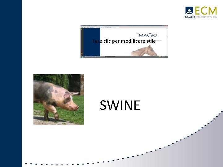 Fare clic per modificare stile IMAGO SWINE 