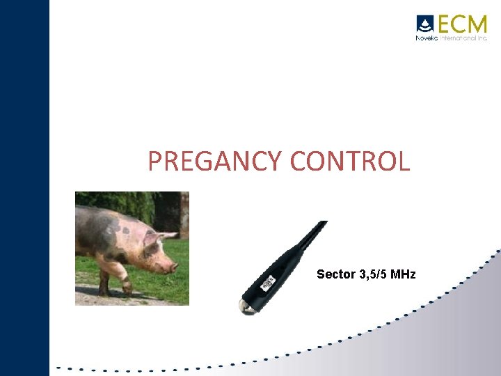 IMAGO PREGANCY CONTROL SWINE Sector 3, 5/5 MHz 