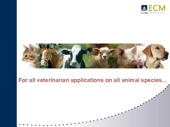 I. HISTORY For all veterinarian applications on all animal species… 