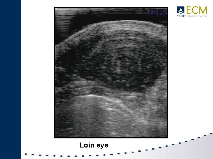 Loin eye 