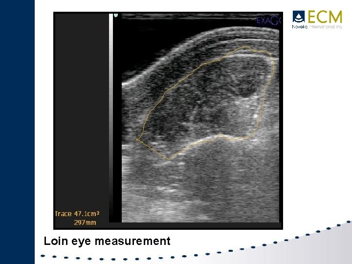 Loin eye measurement 