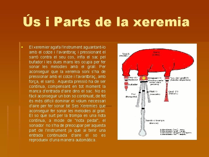 Ús i Parts de la xeremia § El xeremier agafa l’instrument aguantant-lo amb el