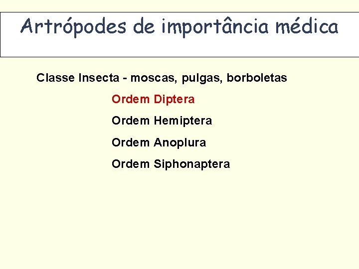 Artrópodes de importância médica Classe Insecta - moscas, pulgas, borboletas Ordem Diptera Ordem Hemiptera