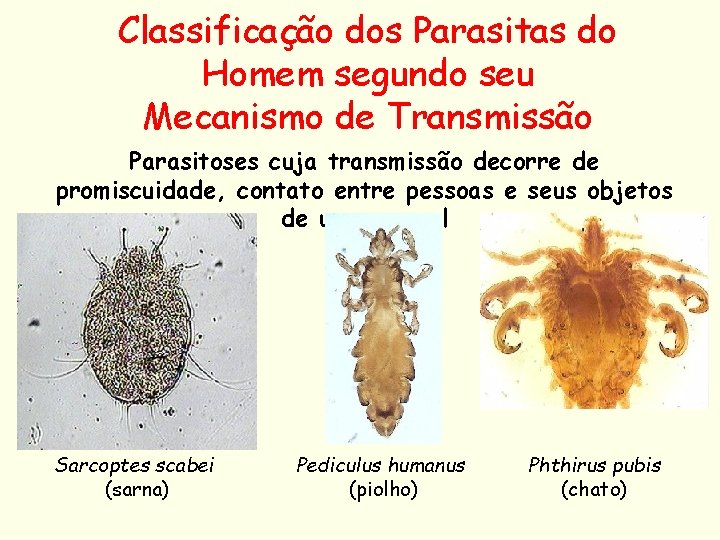 Classificação dos Parasitas do Homem segundo seu Mecanismo de Transmissão Parasitoses cuja transmissão decorre
