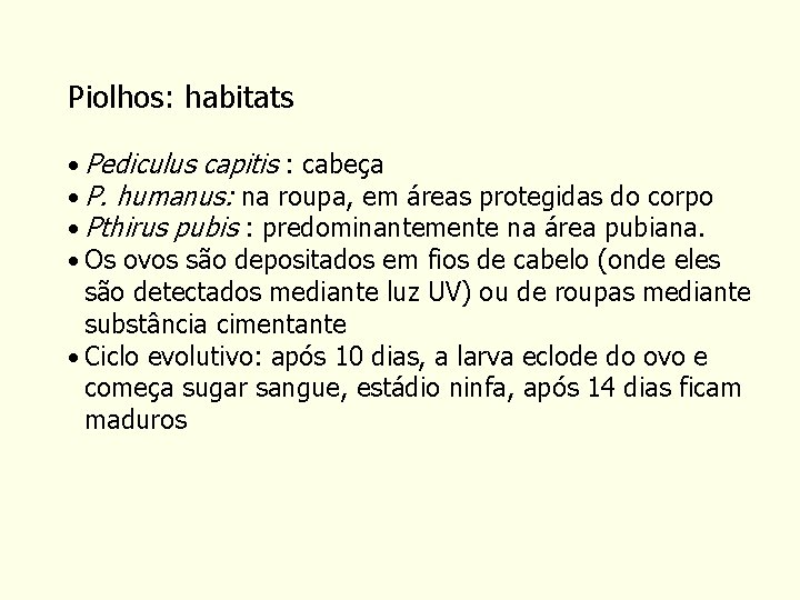 Piolhos: habitats • Pediculus capitis : cabeça • P. humanus: na roupa, em áreas