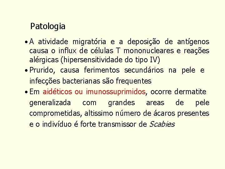 Patologia • A atividade migratória e a deposição de antígenos causa o influx de