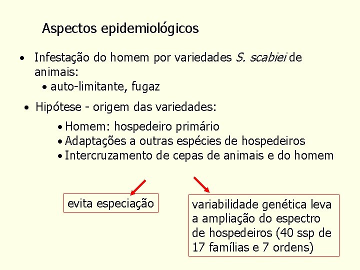 Aspectos epidemiológicos • Infestação do homem por variedades S. scabiei de animais: • auto-limitante,