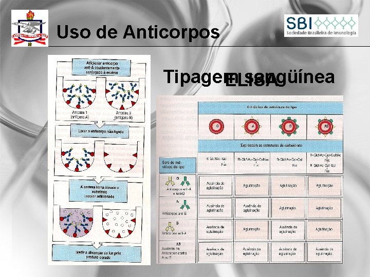 Uso de Anticorpos Tipagem sangüínea ELISA 