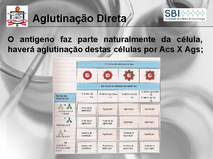 Aglutinação Direta O antígeno faz parte naturalmente da célula, haverá aglutinação destas células por