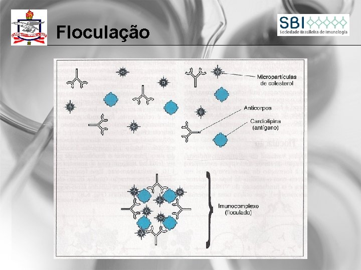 Floculação 