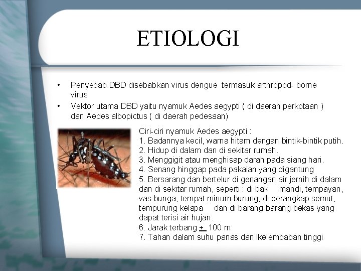 ETIOLOGI • • Penyebab DBD disebabkan virus dengue termasuk arthropod- borne virus Vektor utama