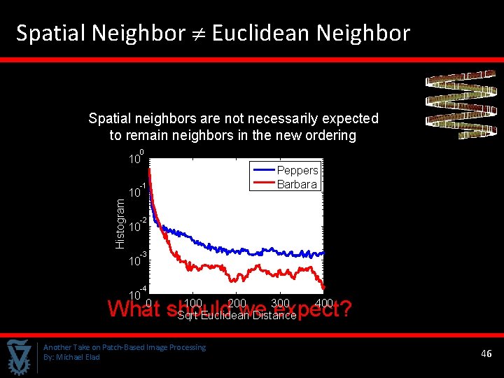 Spatial Neighbor Euclidean Neighbor Spatial neighbors are not necessarily expected to remain neighbors in