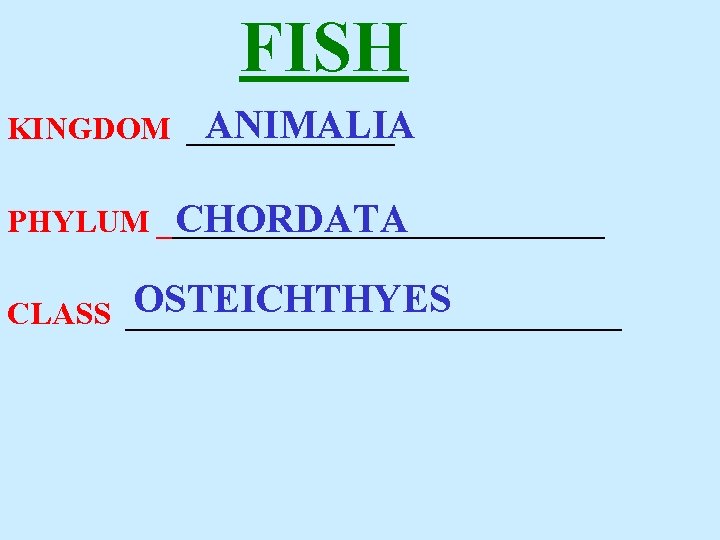 FISH ANIMALIA KINGDOM _______ PHYLUM ______________ CHORDATA OSTEICHTHYES CLASS ________________ 