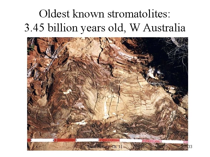 Oldest known stromatolites: 3. 45 billion years old, W Australia Earth History, Ch. 11