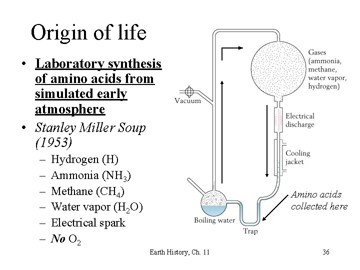 Origin of life • Laboratory synthesis of amino acids from simulated early atmosphere •
