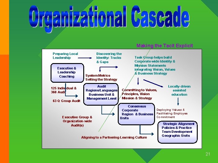 Making the Tacit Explicit Preparing Local Leadership Executive & Leadership Coaching 125 Individual &