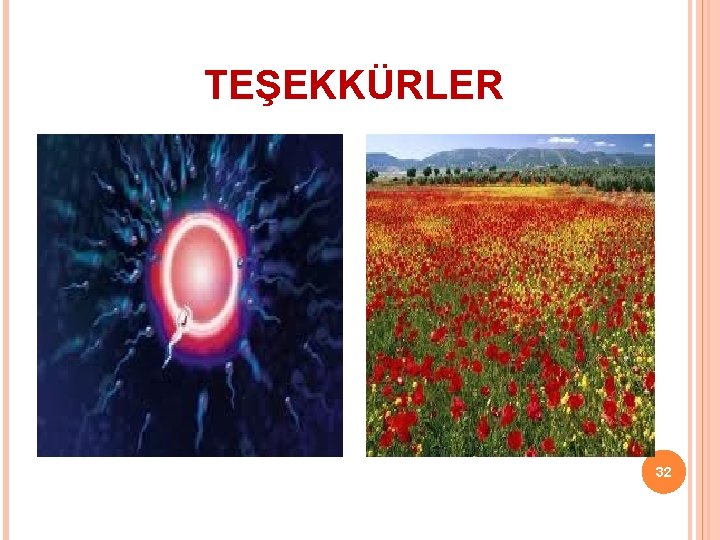 TEŞEKKÜRLER 32 