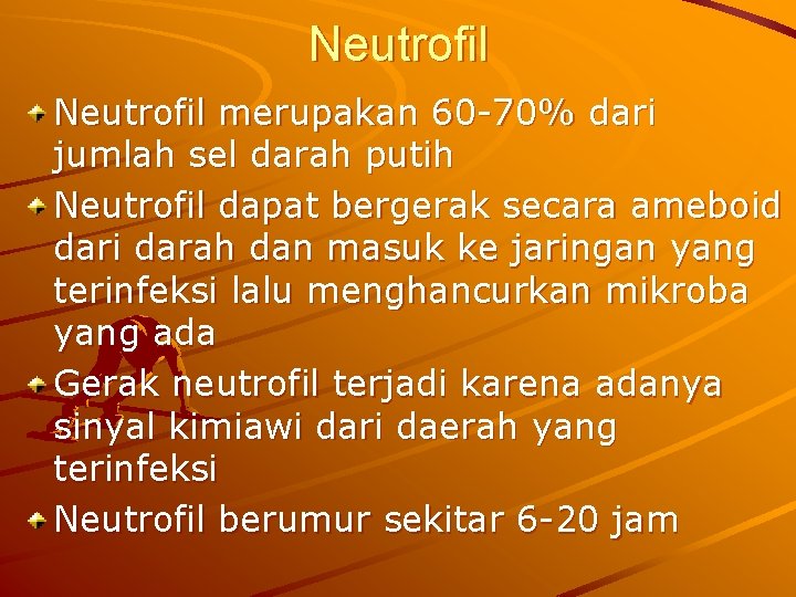 Neutrofil merupakan 60 70% dari jumlah sel darah putih Neutrofil dapat bergerak secara ameboid