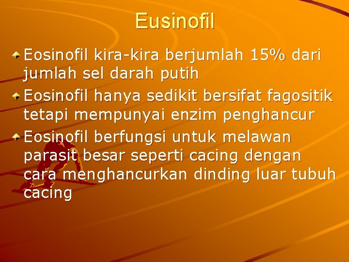 Eusinofil Eosinofil kira berjumlah 15% dari jumlah sel darah putih Eosinofil hanya sedikit bersifat