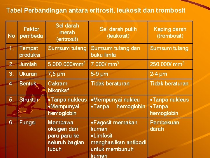 Tabel Perbandingan antara eritrosit, leukosit dan trombosit Faktor No pembeda Sel darah merah (eritrosit)