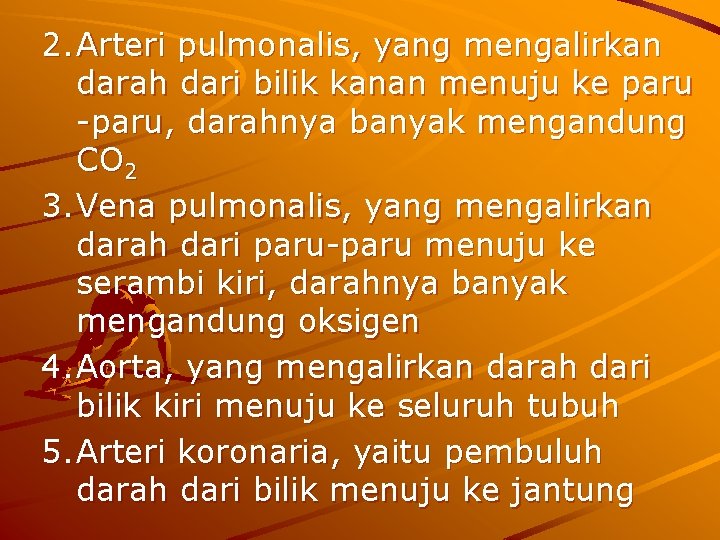 2. Arteri pulmonalis, yang mengalirkan darah dari bilik kanan menuju ke paru, darahnya banyak