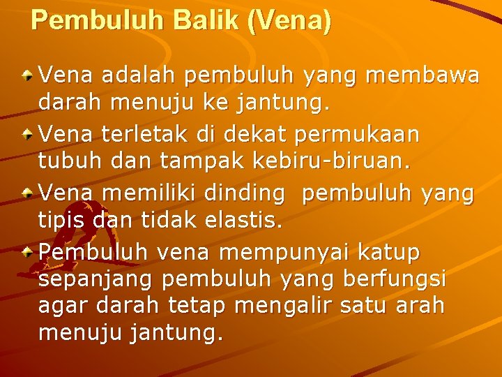 Pembuluh Balik (Vena) Vena adalah pembuluh yang membawa darah menuju ke jantung. Vena terletak