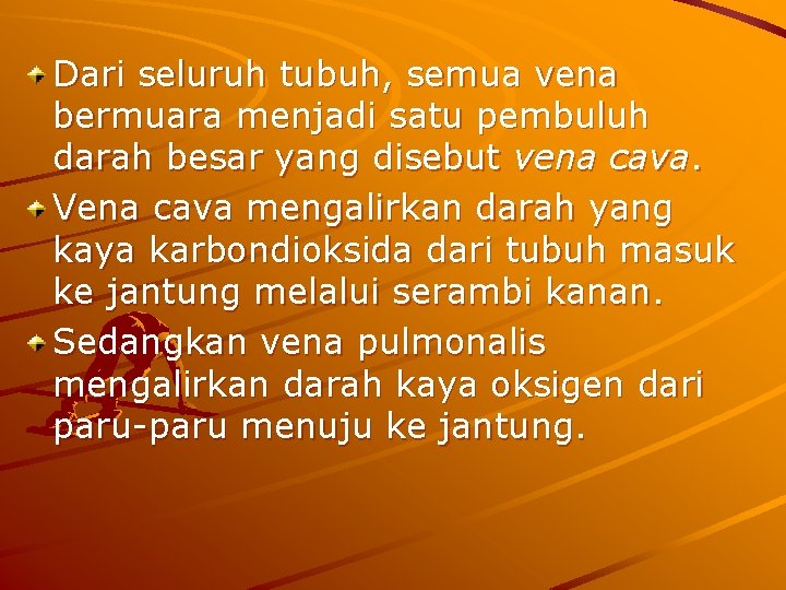 Dari seluruh tubuh, semua vena bermuara menjadi satu pembuluh darah besar yang disebut vena