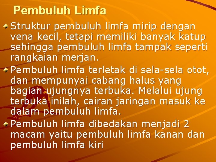 Pembuluh Limfa Struktur pembuluh limfa mirip dengan vena kecil, tetapi memiliki banyak katup sehingga