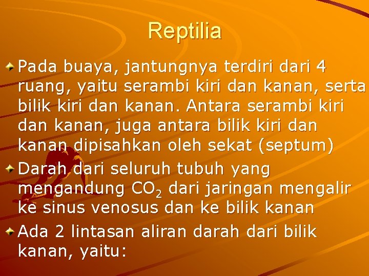 Reptilia Pada buaya, jantungnya terdiri dari 4 ruang, yaitu serambi kiri dan kanan, serta