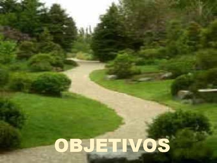  OBJETIVOS 