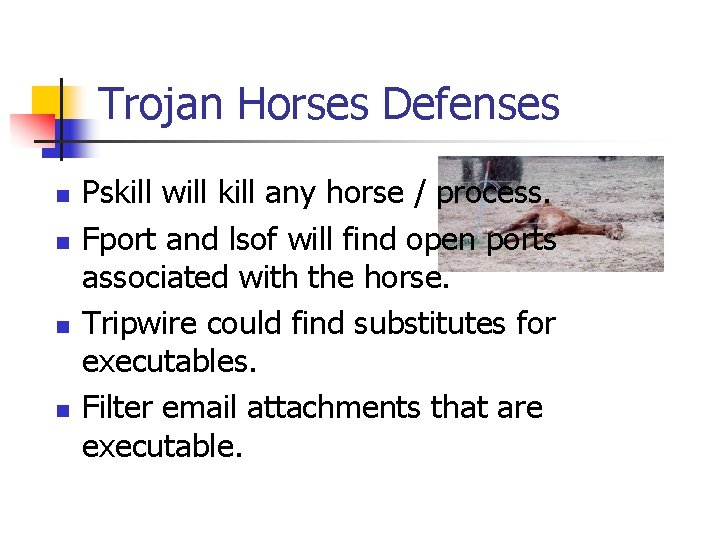 Trojan Horses Defenses n n Pskill will kill any horse / process. Fport and