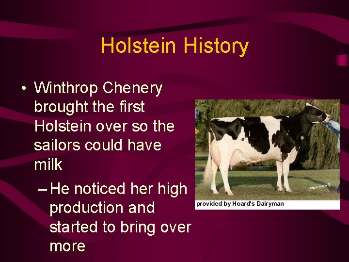 Holstein History • Winthrop Chenery brought the first Holstein over so the sailors could
