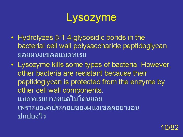 Lysozyme • Hydrolyzes -1, 4 -glycosidic bonds in the bacterial cell wall polysaccharide peptidoglycan. Lysozyme • Hydrolyzes -1, 4 -glycosidic bonds in the bacterial cell wall polysaccharide peptidoglycan.