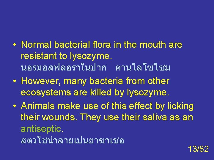 • Normal bacterial flora in the mouth are resistant to lysozyme. นอรมอลฟลอราในปาก ตานไลโซไซม • Normal bacterial flora in the mouth are resistant to lysozyme. นอรมอลฟลอราในปาก ตานไลโซไซม