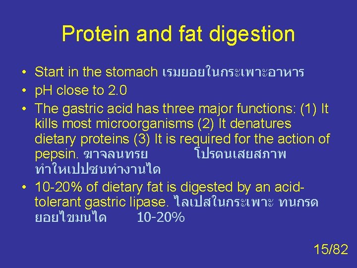 Protein and fat digestion • Start in the stomach เรมยอยในกระเพาะอาหาร • p. H close