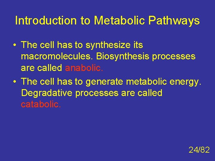 Introduction to Metabolic Pathways • The cell has to synthesize its macromolecules. Biosynthesis processes Introduction to Metabolic Pathways • The cell has to synthesize its macromolecules. Biosynthesis processes