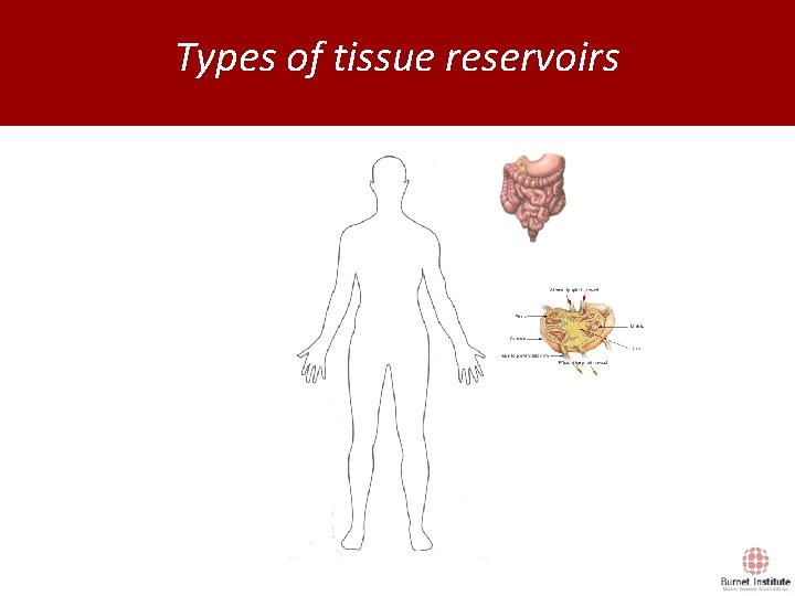 Types of tissue reservoirs 