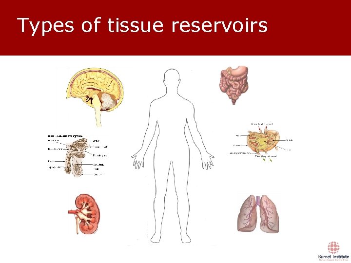 Types of tissue reservoirs 