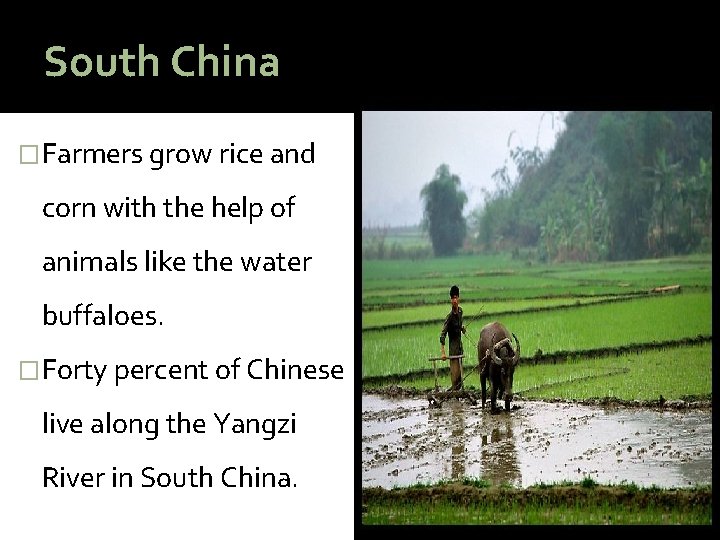 South China �Farmers grow rice and corn with the help of animals like the