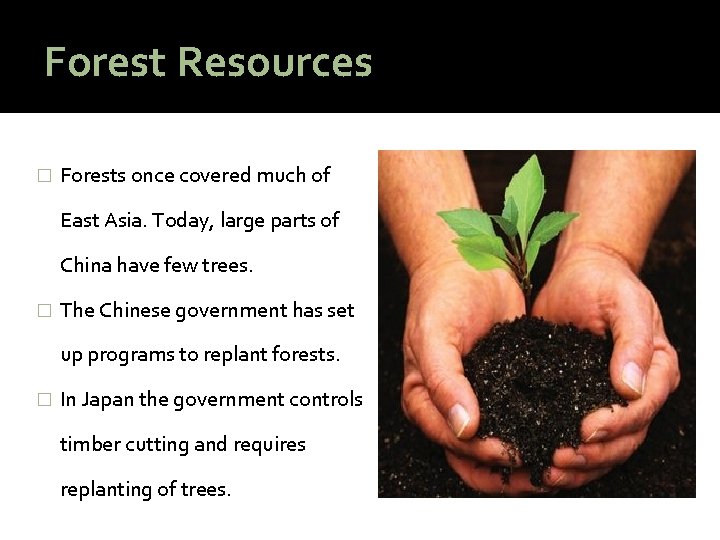 Forest Resources � Forests once covered much of East Asia. Today, large parts of