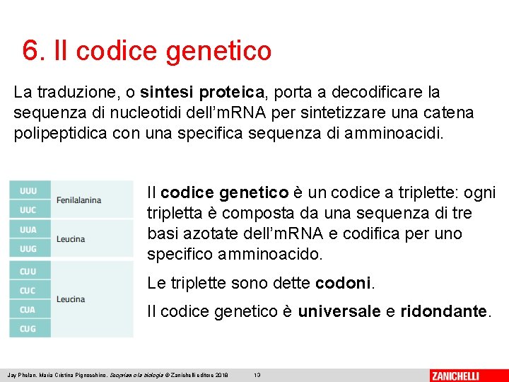 6. Il codice genetico La traduzione, o sintesi proteica, porta a decodificare la sequenza
