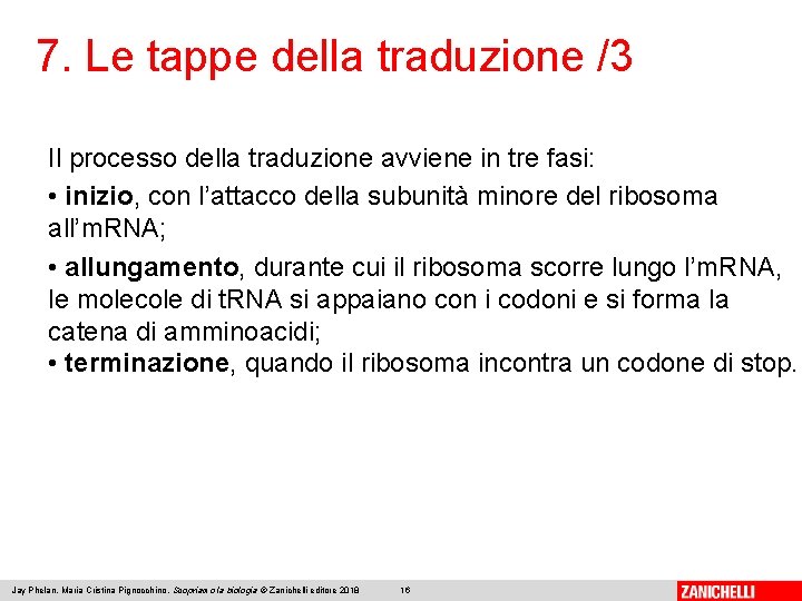 7. Le tappe della traduzione /3 Il processo della traduzione avviene in tre fasi: