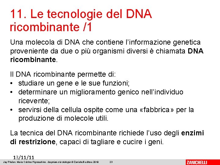 11. Le tecnologie del DNA ricombinante /1 Una molecola di DNA che contiene l’informazione