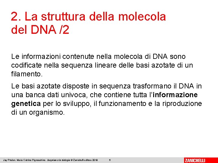 2. La struttura della molecola del DNA /2 Le informazioni contenute nella molecola di