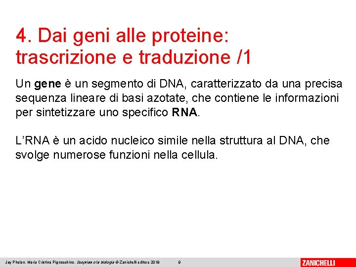 4. Dai geni alle proteine: trascrizione e traduzione /1 Un gene è un segmento