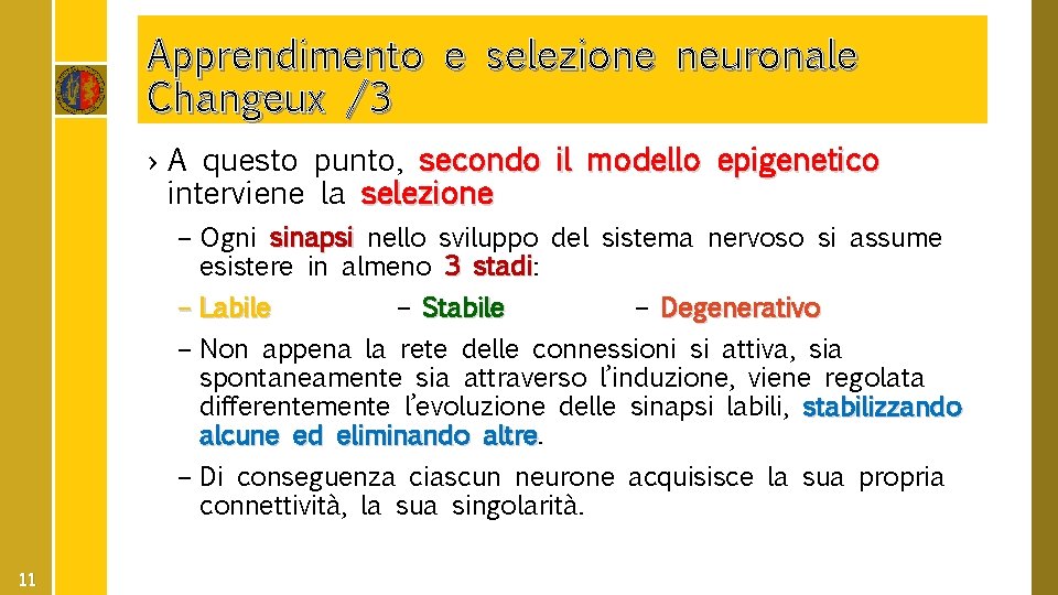 Apprendimento e selezione neuronale Changeux /3 › A questo punto, secondo il modello epigenetico