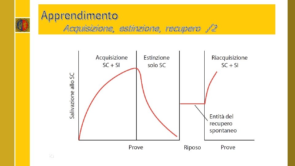 Apprendimento Acquisizione, estinzione, recupero /2 23 